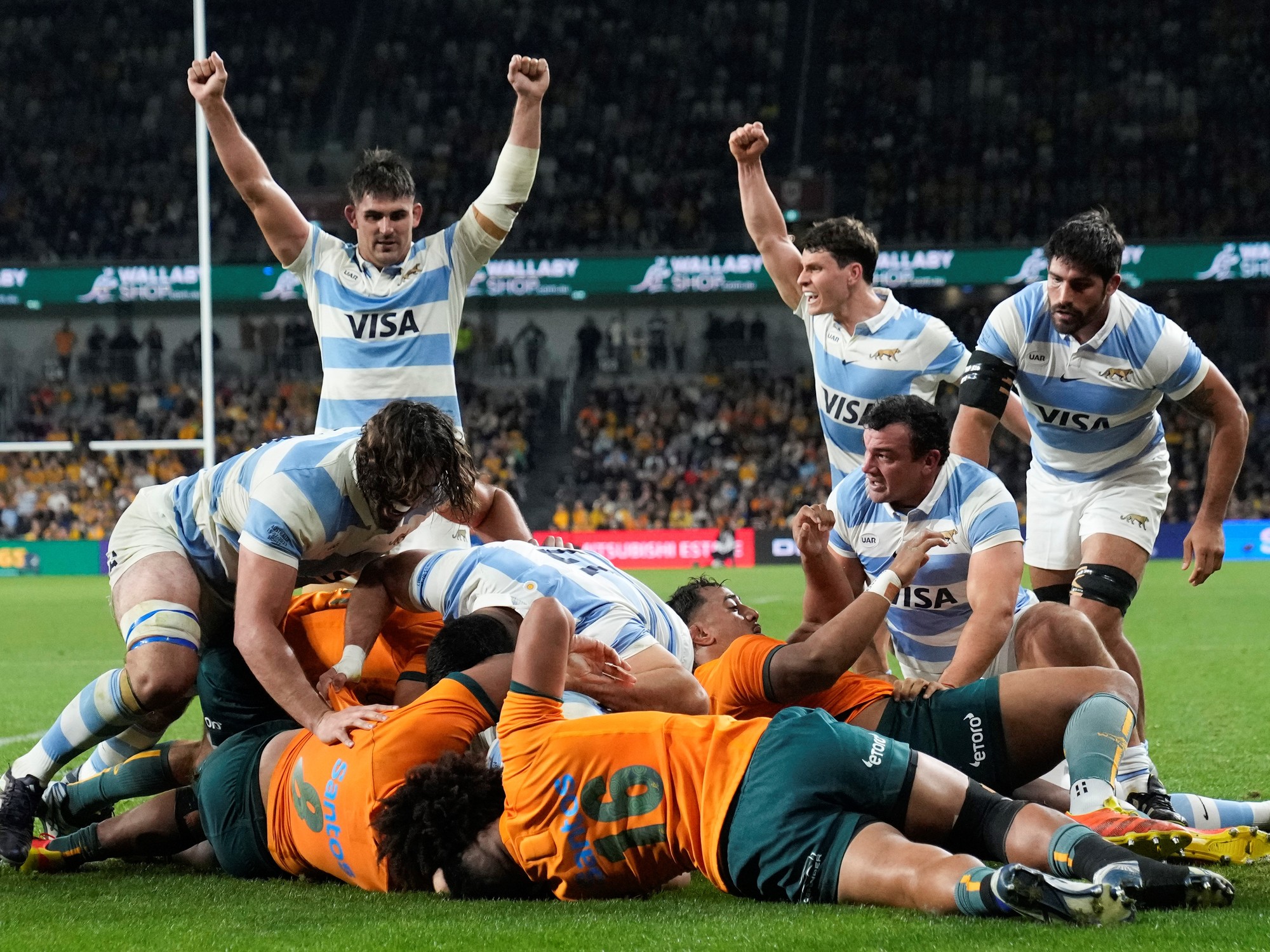 los pumas australia